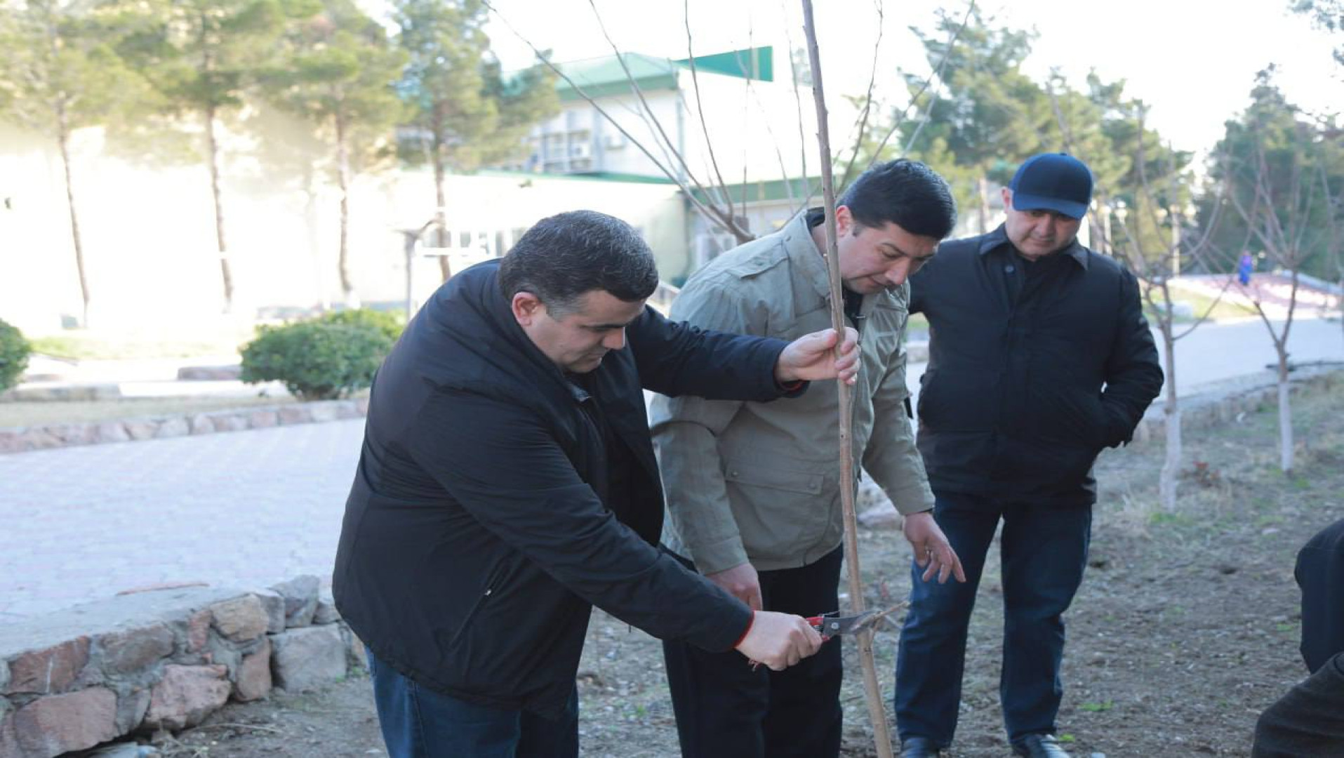 МАЪРАКАИ НИҲОЛШИНОНӢ ВА ҲАШАРҲОИ ДАСТҶАМЪОНА ДАР ДОНИШКАДА